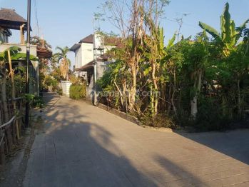 Buc Tanah di Batubulan Gianyar Bali