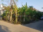 thumbnail-buc-tanah-di-batubulan-gianyar-bali-3