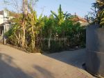 thumbnail-buc-tanah-di-batubulan-gianyar-bali-4