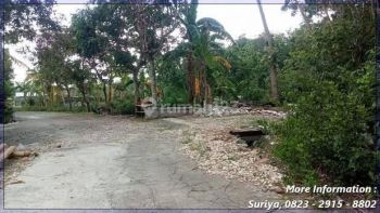 Tanah Piyungan Nego Timur Kids Fans Aman