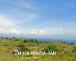 thumbnail-for-sale-tanah-cliff-front-38-ha-nusa-penida-9