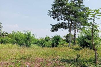 Jual Tanah Batang, Harga Terjangkau, Cocok untuk Usaha Kavling, Bebas Banjir