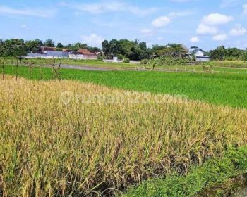 Dijual Lahan Zona Industri Luas 5 Hektar Lokasi Tulung,klaten