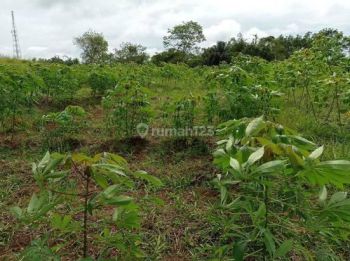 Dijual Tanah di Suka Bumi.