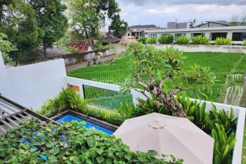 Rice Paddy View 2 Bedroom Villa in Canggu! (VS71WU)