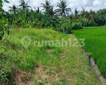 TOP URGENT DI JUAL TANAH LOKASI PANTAI LIMA PERERENAN CANGGU KUTA UTARA BADUNG