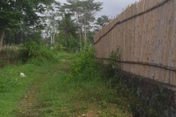 Tanah Murah Hidden gem Langsung Bangun