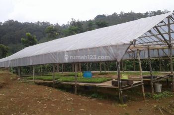 Lokasi View Kota & Gunung gede Sejuk Dekat sukabumi
