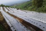 thumbnail-lokasi-view-kota-gunung-gede-sejuk-dekat-sukabumi-7