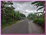 thumbnail-dijual-tanah-pleret-jogja-dekat-kampus-uad-4-2