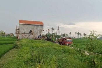 TANAH VIEW SAWAH GUNUNG KEREN DI CANGGU AREA