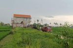 thumbnail-tanah-view-sawah-gunung-keren-di-canggu-area-6