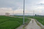 thumbnail-tanah-view-sawah-gunung-keren-di-canggu-area-1