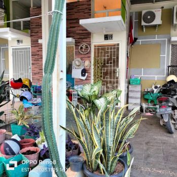 Segaracity cluster feia luas 75m, renovasi total, depan taman, siap huni, murah,