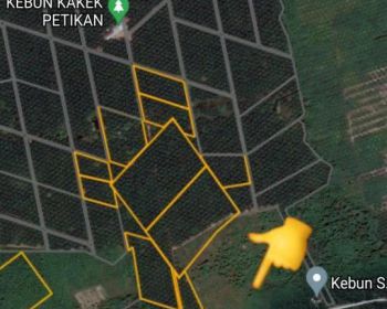 Tanah 7 hektar pinggir jalan Nasional