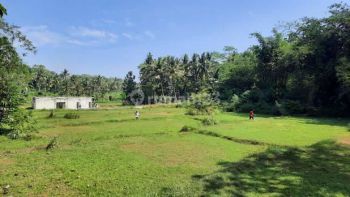 Tanah Murah Spot Investasi Jogja Barat Area Wisata Bukit Menoreh