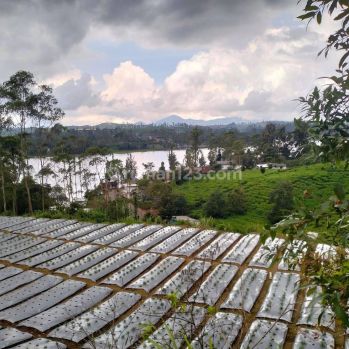 Dijual Tanah Padat View Danau Situ Cileunca Pangalengan Bandung