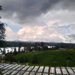 thumbnail-dijual-tanah-padat-view-danau-situ-cileunca-pangalengan-bandung-2