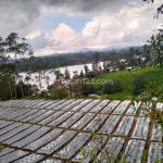 thumbnail-dijual-tanah-padat-view-danau-situ-cileunca-pangalengan-bandung-3