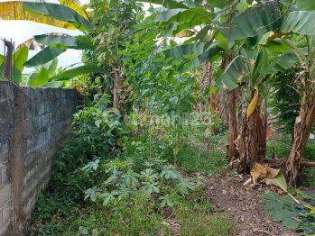 Tanah Strategis Siap Bangun di Lokasi Premium Jalan Jepang Alang Alang Lebar