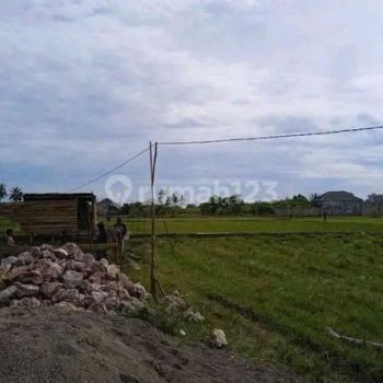 jual tanah untuk investasi di lampenerut