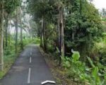 thumbnail-tanah-sewa-zona-kuning-view-sawah-terasering-keren-0