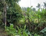 thumbnail-tanah-sewa-zona-kuning-view-sawah-terasering-keren-3