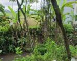 thumbnail-tanah-sewa-zona-kuning-view-sawah-terasering-keren-5