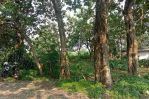 thumbnail-lahan-datar-area-cinangka-luas-400-an-m2-2