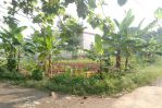 thumbnail-lahan-datar-area-cinangka-luas-400-an-m2-3