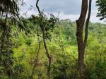 thumbnail-tanah-di-tegallalang-gianyar-view-sawah-hutan-sungai-dekat-wisata-3