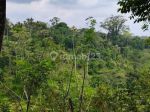 thumbnail-tanah-di-tegallalang-gianyar-view-sawah-hutan-sungai-dekat-wisata-5