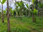 thumbnail-tanah-di-tegallalang-gianyar-view-sawah-hutan-sungai-dekat-wisata-6