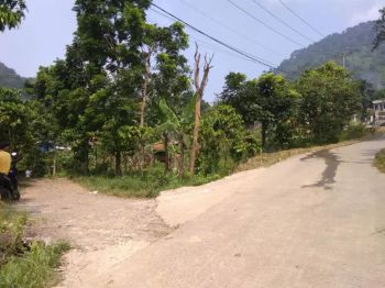 Dijual Lahan sejuk perbatasan hutan lindung G pancar