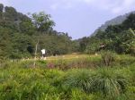 thumbnail-dijual-lahan-sejuk-perbatasan-hutan-lindung-g-pancar-5