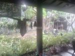 thumbnail-dijual-rumah-tengah-kota-jalan-ratna-palembang-6