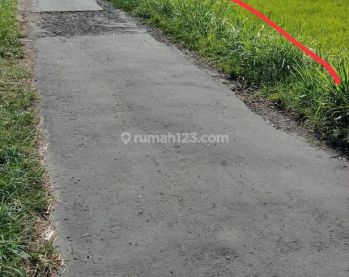 Tanah Jln palagan km 10 Donoharjo.