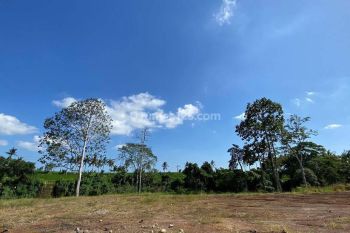 Dijual Tanah Kavling di Area Yeh Gangga, Tabanan