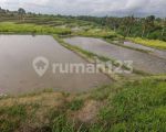 thumbnail-tanah-view-sawah-terasering-dan-gunung-agung-8