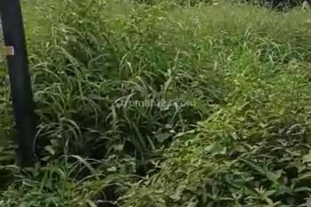 Dijual kavling lokasi strategis antara serpong dan pamulang di Jl serpong