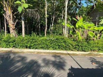 Tanah Strategis 250 Juta Utara Kantor Kecamatan Kerjo