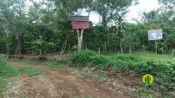 Di Jual Lahan Kavling, Sertipikat Shm, Siap Bangun di Kepahiang