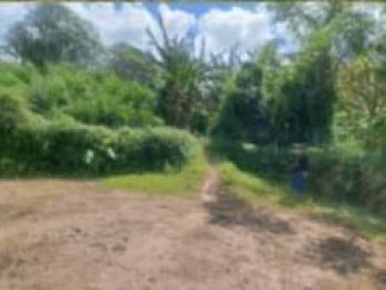 Jual Melalui Lelang Tanah Gianyar Bali LT 5.350 m2