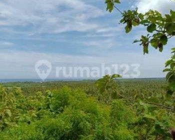 FOR SALE land with fantastic views global just 550 juta
