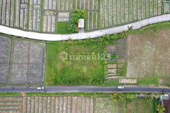Di Jual Tanah View Laut Dan Sawah Di Tabanan