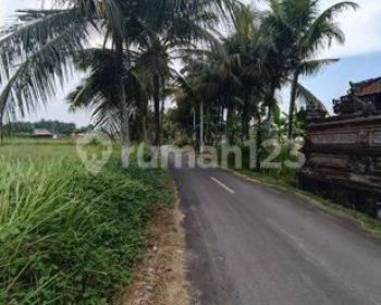 TANAH SEWA SANGAT COCOK KOMPLEK VILLA RENTAL