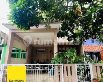 Dijual Cepat Rumah di Cluster Serpong Park