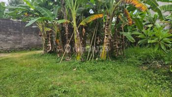 Tanah siap bangun dekat pusat kota Tabanan