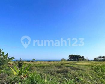 Dijual Murah Tanah Los Pantai Siyut Gianyar Bali
