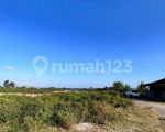 thumbnail-dijual-murah-tanah-los-pantai-siyut-gianyar-bali-4